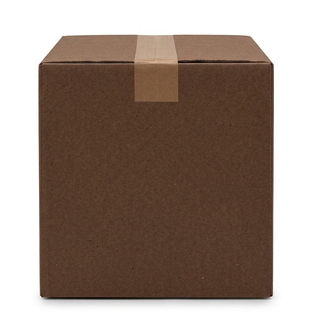 Modèle NB1 - Chaussure